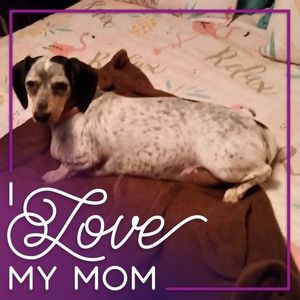 Meet your Posher, Lucinda